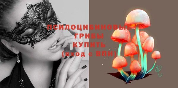 МДПВ Бугульма