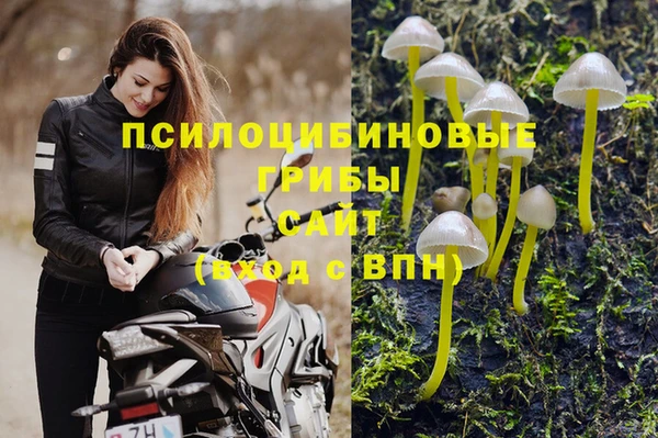 2c-b Бронницы
