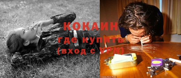 mix Бородино