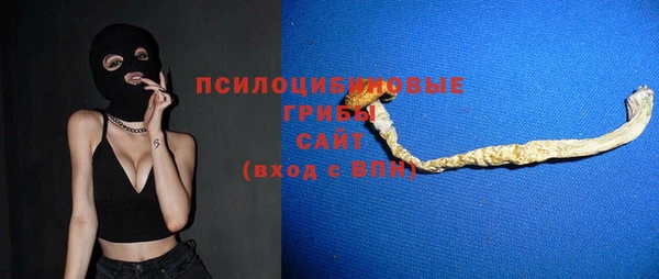 МДПВ Бугульма